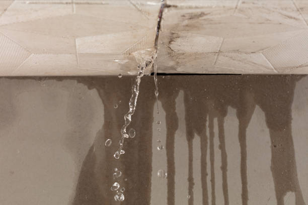 Professional Flood Damage Cleanup technician working in Dallesport, WA